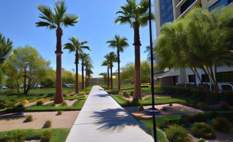 The Berkley, Las Vegas