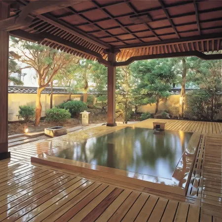 Hotel Saginoyu