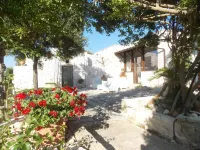TRULLO IN PUGLIA WITH PRIVATE POOL, PETS ALLOWED - Villas