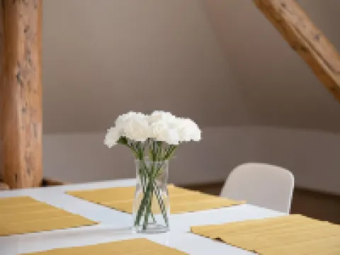 Pytloun Apartments Liberec Hoteles en Liberec