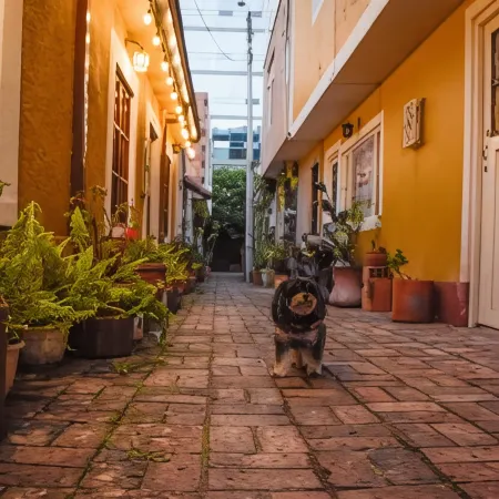 Usaquen Station Hostel