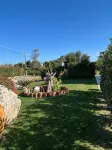 Paluna
