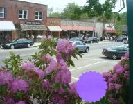 The DIAMOND of Blowing Rock- 4 Min. walk to Downtown AND App State
