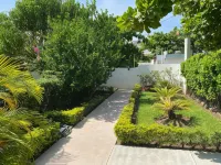 Zandoyo Bed & Breakfast