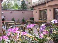 Hotel Gema فنادق في Sacele