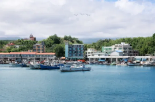 襄陽弗洛拉高級旅館