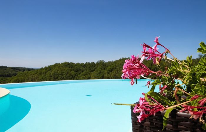 Domaine de Janis & Spa