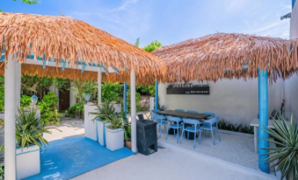 Alkina lodge - Housity