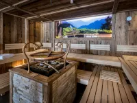 Almlust - Hotel, Apartments, Chalets Hotels in Flachau