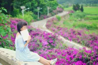 Fenghui - Mountain view