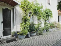 Hotel Meuser