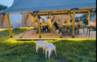 Nalati Qili Shantang Wild Luxury Homestay - Desayuno