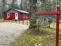 Island Getaway! Nestled in the woods with easy access to sandy beach