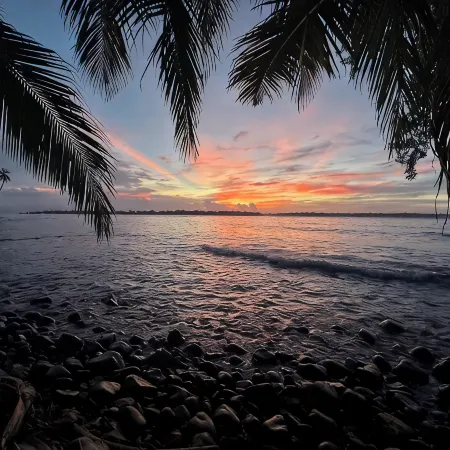 REEF HOUSE: Waterfront, Caribbean Paradise Jungle Cabin in Bastimentos w/ AC