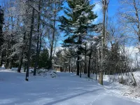 Forget your worries in this private, spacious, and serene duplex! Hotels in Barry County