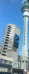 Metro Adventurer Backpackers - Hostels