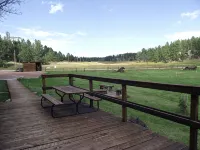 Sky View Log Cabin- Off the beaten trail yet close to all the main attractions! - Chalets