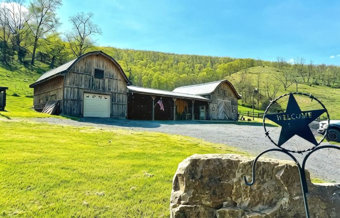 Charming cabin in Appalachian mountains of Cabins, WV with full amenities