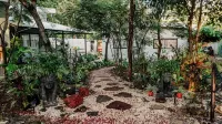 Mini Oasis in Avellanas beach, natural pool, parking, A/C, kitchen #2 - Villas