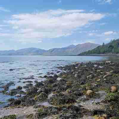 Studio with a ViewBetween Glencoe and Fort William, close to the shore. Others