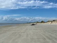 Walk to Waterfront Dining, Shops, Wine Bar. 2 Miles from I-95. No Pet Fee! 다리엔 호텔