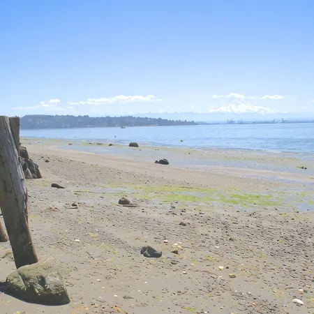 Waterfront Vashon Home with Amazing View