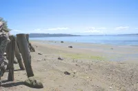 Waterfront Vashon Home with Amazing View