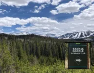 FIRESIDE MOOSE CONDO - Winter Park, Walk to Town - 4 stjerner
