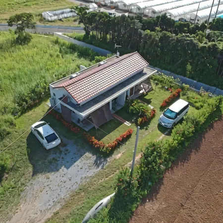 Kaeruya