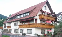 Apartment, 55Sqm with 8Sqm Balcony, 2-4Persons in Baiersbronn Center - 2-Star