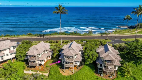 The Palm Treehouse: Serene retreat with simultaneous mountain and ocean views - 3-Star