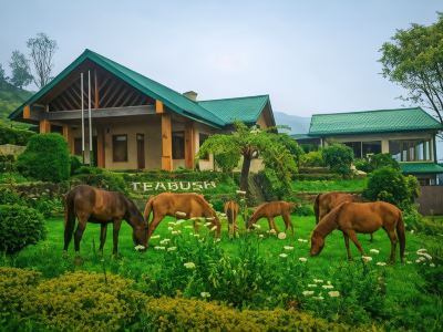 Tea Bush Hotel