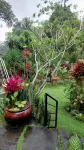Villa Padi Yogyakarta