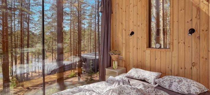Greenvald Park Skandinaviya Hotel Hotels in Vyborgsky District