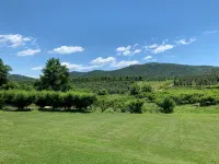 Perfect getaway at foothills of the Blue Ridge Mountains, with gorgeous views! - 무료 와이파이