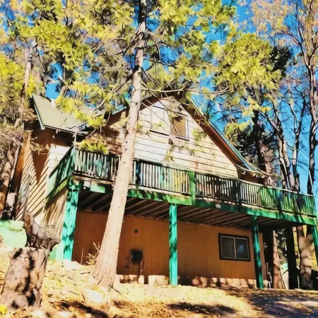 Sequoia Forest Cabin—Lake & River—Ski, Raft, Hike, Bike and More