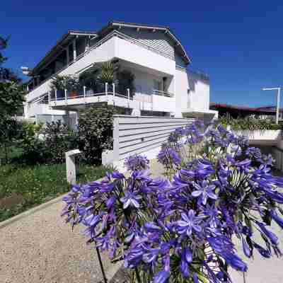 Studio in luxury residence with garden 10 minutes from Biarritz and beaches Hotel Exterior
