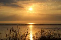 Cedar Lodge, Cedar Springs, Heacham. Only 5 Minutes Walk to the Beach. - Wifi