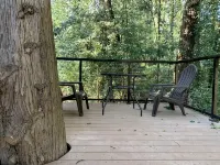 Yeti's Tree House: Where Dreams Come True