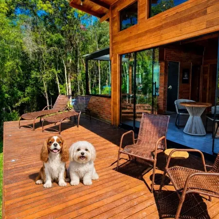 Cabana Bad Wolf - Rancho Queimado