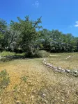 Rio Verde - Cozy Cottage on the Frio River - 3-Star