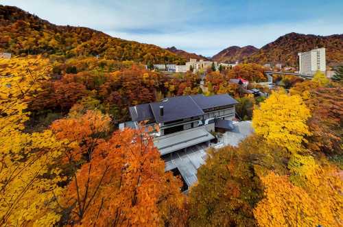 定山溪常青藤木屋