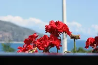 B&B la Carminella - Havudsigt