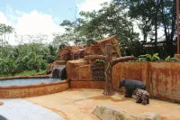 Hotel Catarata Río Celeste - Mountain view