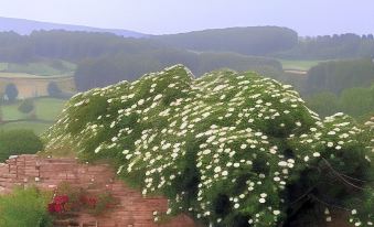 Le Clos de l'Atre
