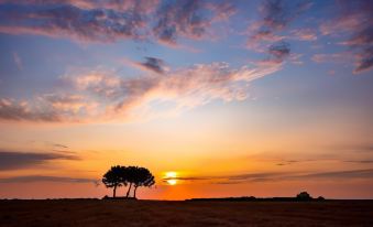 Masseria Bagnara Resort & Spa