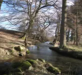 The George Hotel - Orton Hotels in Ravenstonedale