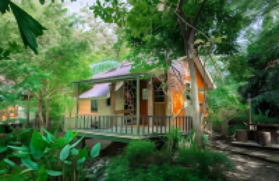 เวียงคำรีสอร์ท