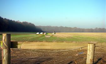 a rural landscape with a large field of grass and a few small buildings in the distance at The Bowl Inn