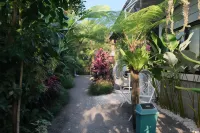 Alodie Cottage Hôtels à : Condongcatur